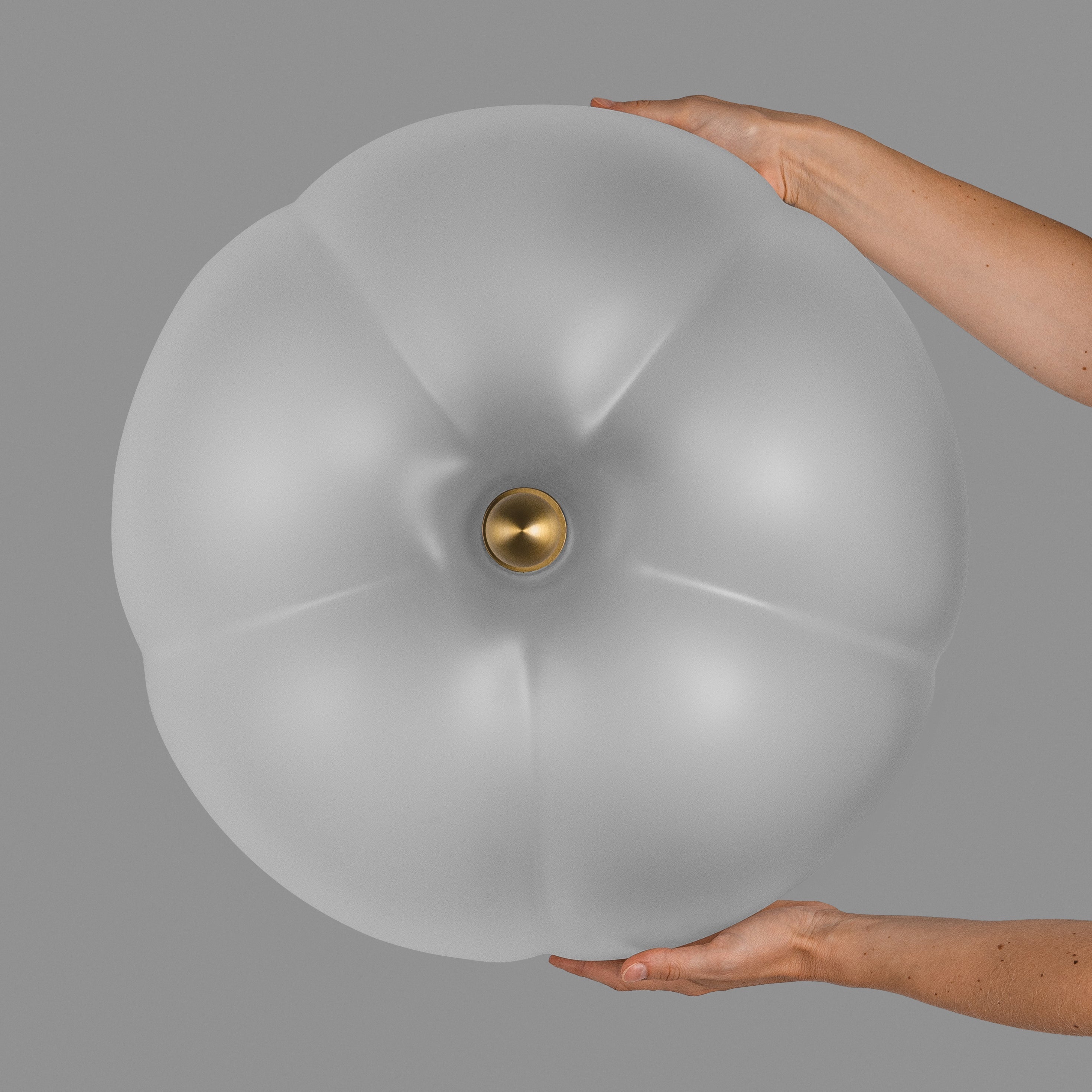 Schwung Hana Frosted Cloche Ceiling/Wall Light